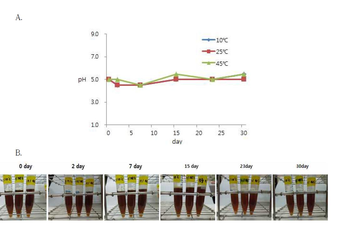 Change in final compound (anti-quorum sensing compound 6 and antibacterial compound 2) by storage temperature and period. A: pH, B: Color