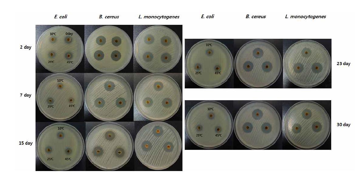 Antibacterial activities of final compound (anti-quorum sensing compound 6 and antibacterial compound 2) by storage temperature and period.