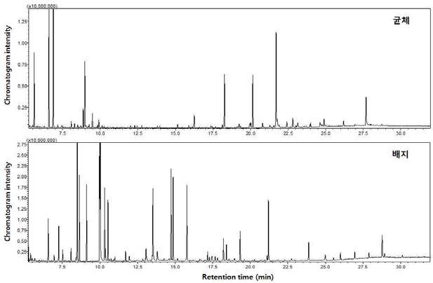 Representative GC/MS profiles of Y. enterocolitica and its growth media.