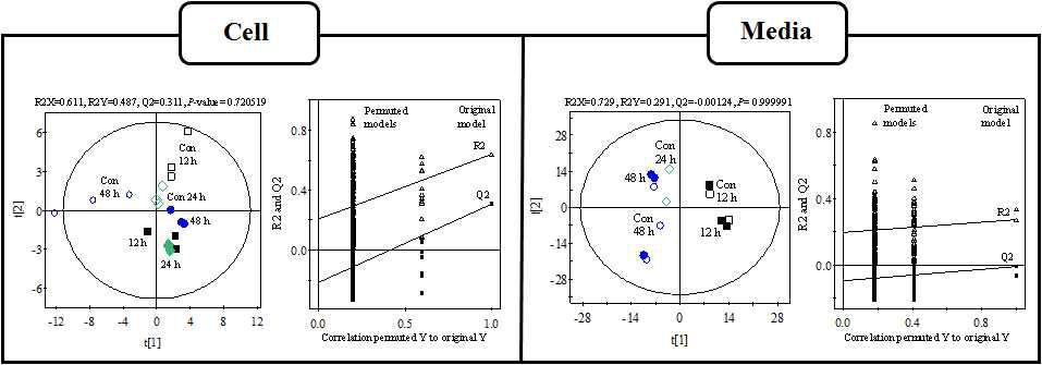 PLS-DA scores plots of metaboites obtained by LC/MS from Y. enterocolitica and growth media treated with the quorum sensing agent. PLS-DA scores plot models querm sensing were evaluated by quality parameters (R2X, R2Y, Q2) and permutation test.