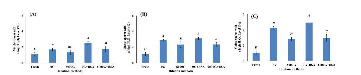 Magnetized semen diluter changes viable sperm with a high H2O2 level by liquid preserved semen obtained on days 1-11, (A) : Day 4, (B) : Day 7, (C) : Day 11 A-C: between live sperm