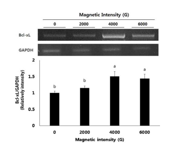 Expression of Bcl-xL mRNA at 44 h of in vitro maturation in porcine oocytes