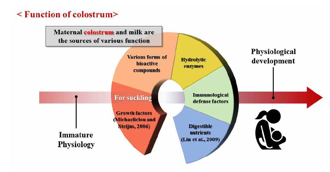 Function of maternal colostrum