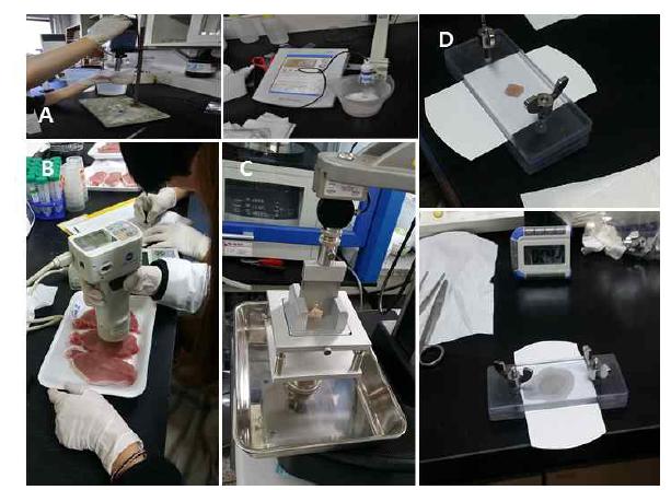 Analysis of pH (A), meat color (B), shear force (C) and water holding capacity (D) in pork