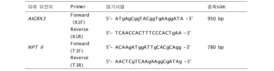 형질전환체의 gDNA와 cDNA PCR 분석을 위한 AtGRX3와 NPT II 탐지용 primer