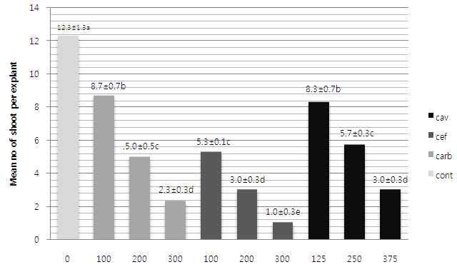 국화 형질전환시 항생제 종류에 따른 영향. Control- 1.0 mg.L-1 6-benzyladenine (BA) + 2.0 mg.L-1 naphthalene acetic acid (NAA). Cav-Clavamox, cef-cefotaxime, carb-carbenicillin, cont-control.