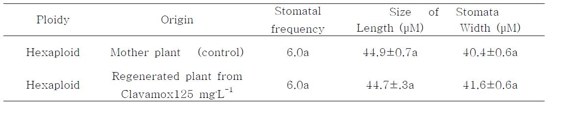 비형질전환체(mother plant)와 형질전환체의 기공의 크기와 빈도의 비교
