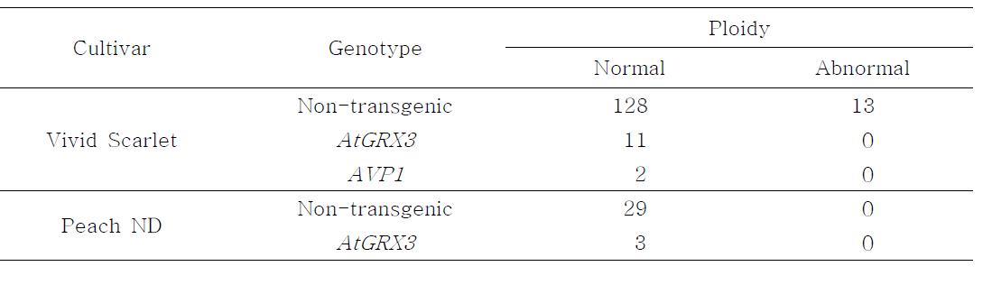 내열성 관련 유전자 형질전환체의 배수성 분석