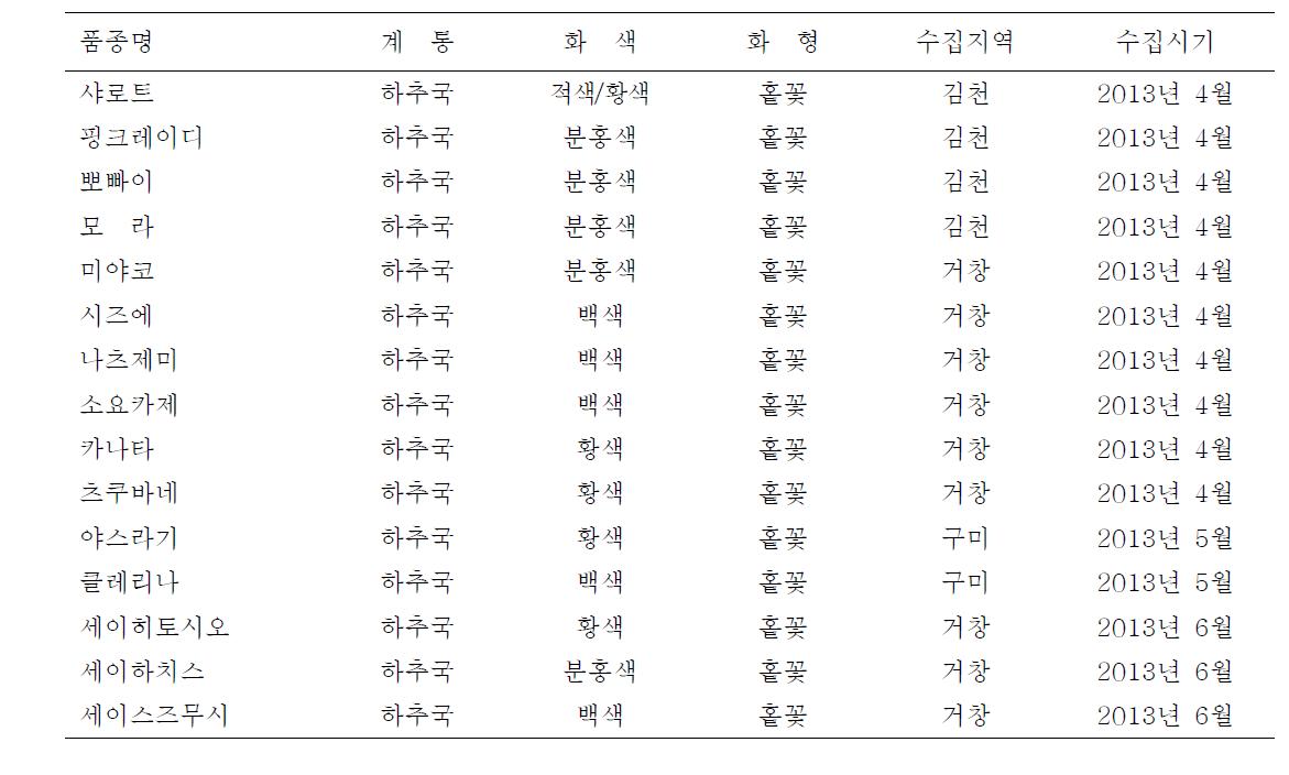 국화 유전자원 수집 내역