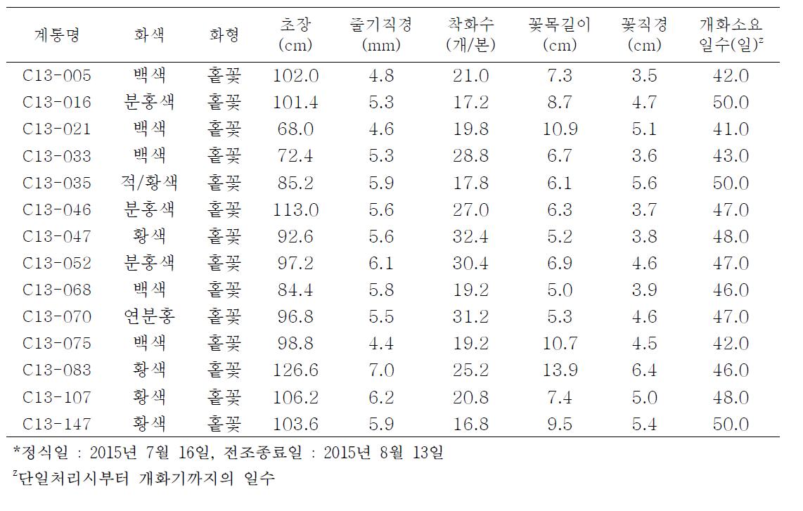 억제재배로 선발한 계통의 생육 및 절화특성