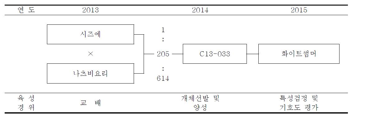 화이트썸머 품종의 육성과정