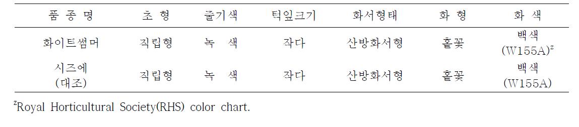 화이트썸머 품종의 고유특성