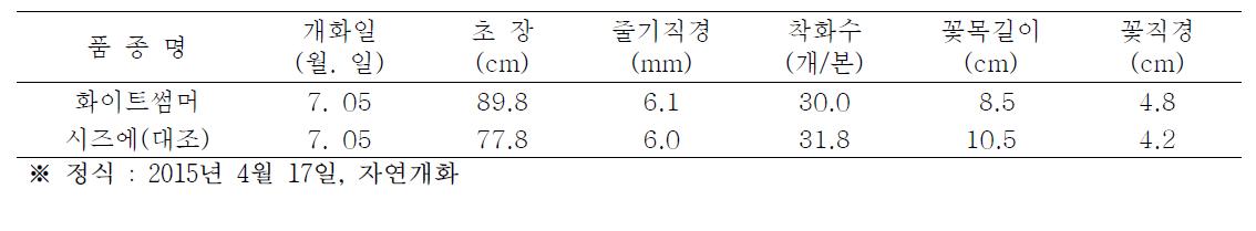 화이트썸머 품종의 자연일장 재배특성