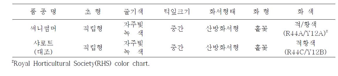 써니썸머 품종의 고유특성