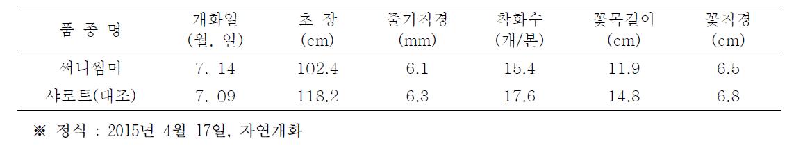 써니썸머 품종의 자연일장 재배특성