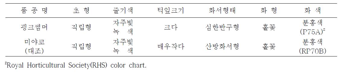 핑크썸머 품종의 고유특성