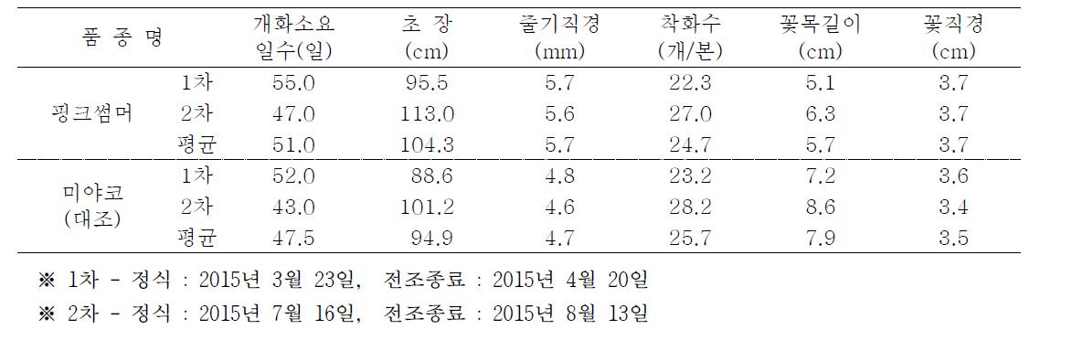 핑크썸머 품종의 가변특성