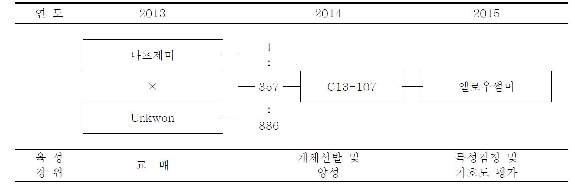 옐로우썸머 품종의 육성과정