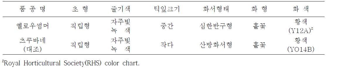 옐로우썸머 품종의 고유특성