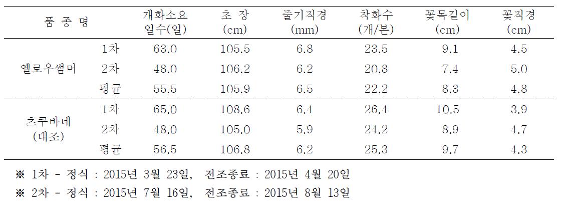 옐로우썸머 품종의 가변특성