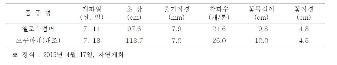 옐로우썸머 품종의 자연일장 재배특성