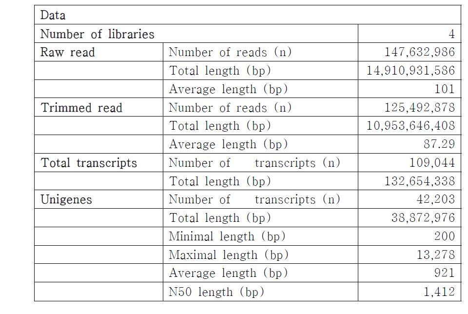 RNA-sequencing 과 de novo assembly 결과 요약