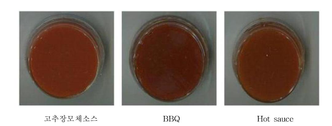 고추장 모체소스 및 프로토타입 BBQ소스와 핫소스