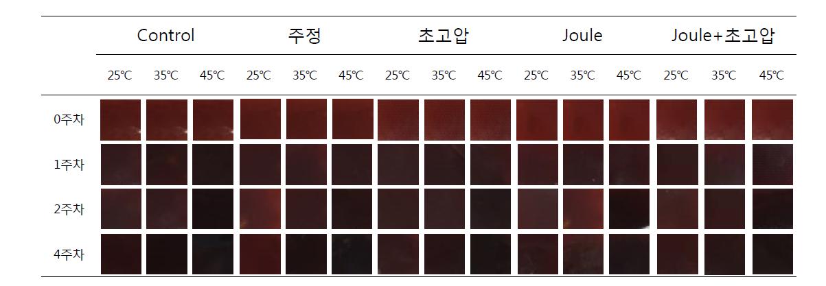 치킨소스 허들처리구의 저장기간과 온도에 따른 색상의 변화