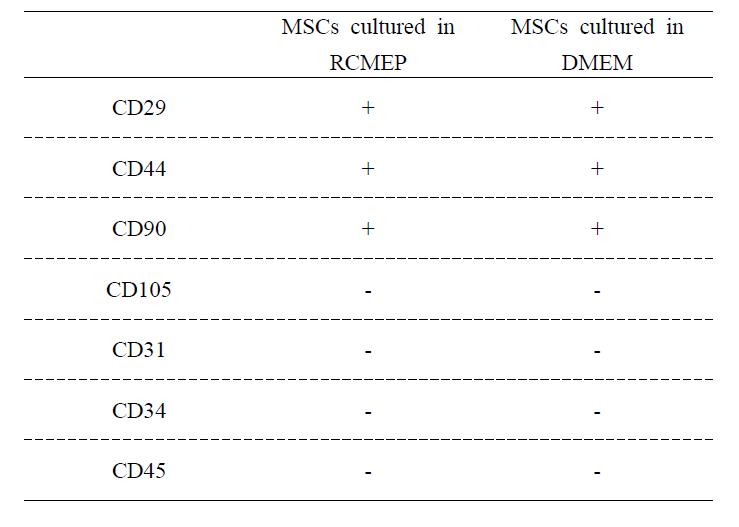 두 종류의 배양액 (RCME-P, DMEM)에서 배양된 지방줄기세포의 세포 표면 marker비교 분석