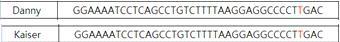 복제견 대니, 카이저의 유전자 다형성 분석