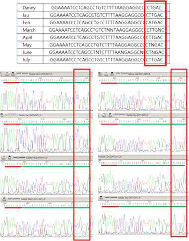 대니, 대니 복제견 3두 (Jan, Feb, March) 및 재복제견 4두 (April. May, June, July)의 dopamine transporter 유전자의 다형성 분석