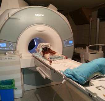 3.0 Tesla Siemens Tim Trio MRI 기기에서 fMRI 촬영중인 복제견