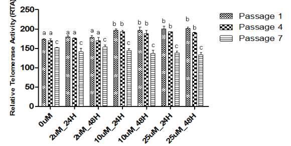지방줄기세포에서의 Resveratrol처리에 따른 텔로머레이즈 활성 변화.