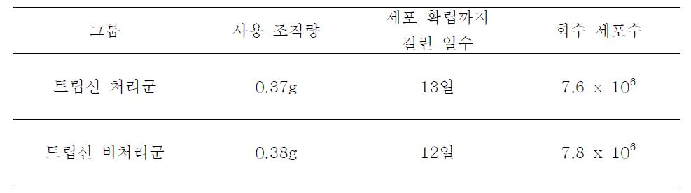 2가지 방법의 일차배양을 통한 세포주 확립