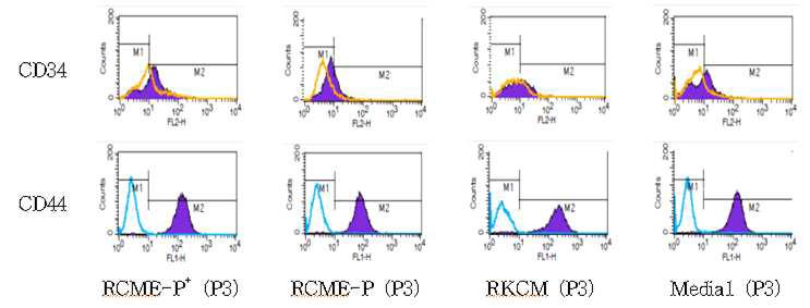 배지에 따른 지방줄기세포의 passage별 CD44, CD34 발현 분석