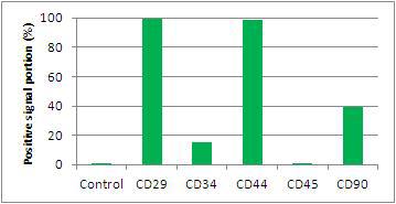 대니 지방줄기세포주의 면역 표현형 CD29, CD34,CD44, CD45, CD90 발현 검증