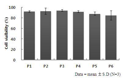 180일 뱅킹 후 세포 배양 시 계대별 세포생존률의 변화