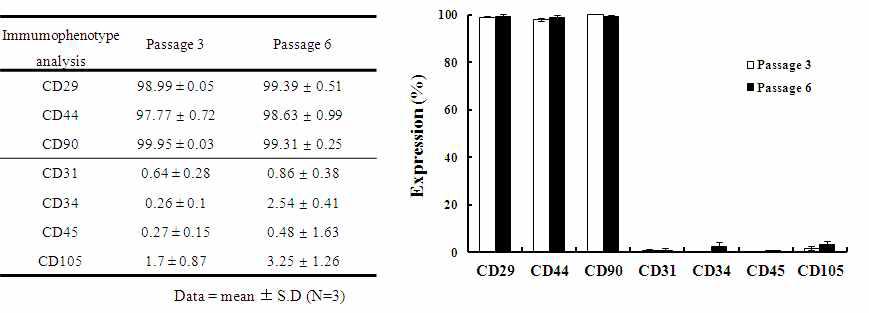 180일 뱅킹 후 세포 배양 시 계대별 세포 표면 항원형의 변화