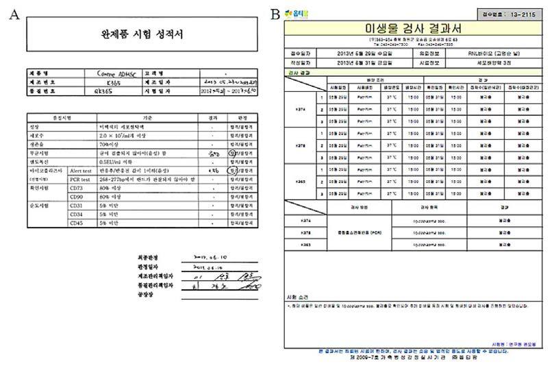 개 지방줄기세포 배양액에 대한 무균 및 마이코플라스마 검사 결과.