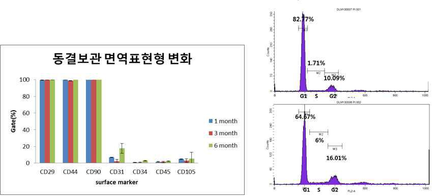 카이져의 복제견 수성, 지구의 동결 보관 후 1개월, 3개월, 6개월차 면역표현형 변화(left)와 6개월차의 세포 주기 패턴 확인(right)