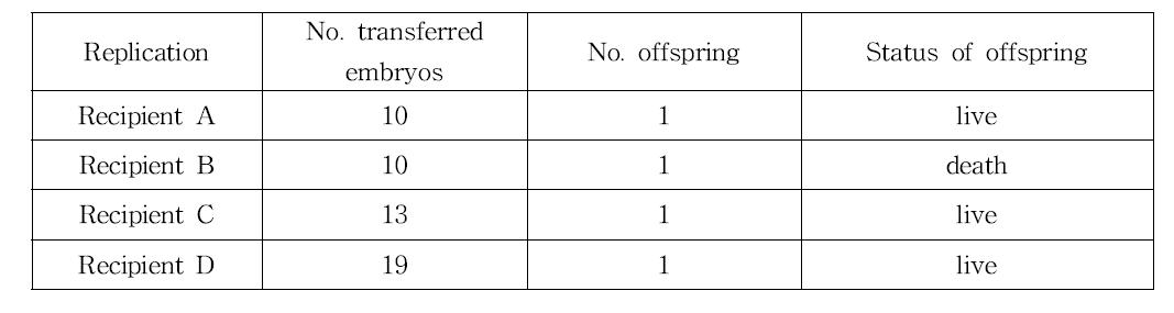 복제수정란이 이식된 임신한 대리모와 생산되어진 복제개의 정보