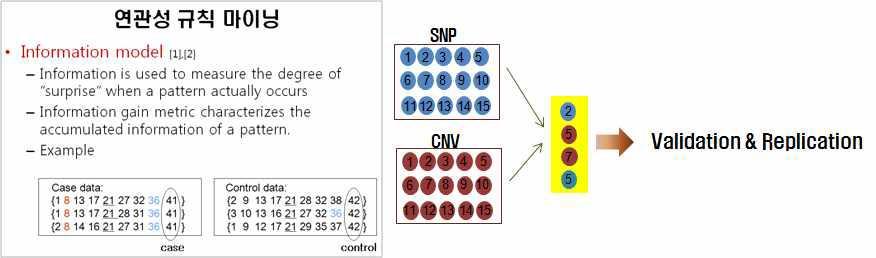 SNP를 바탕으로 연관성 규칙 마이닝의 기본 원리