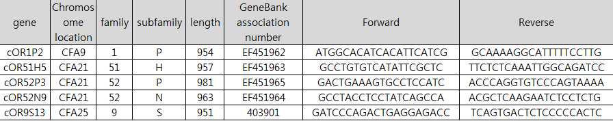 5개 OR 유전자의 PCR primer