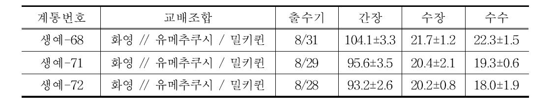 중간찰 고세대 계통의 기본농업형질