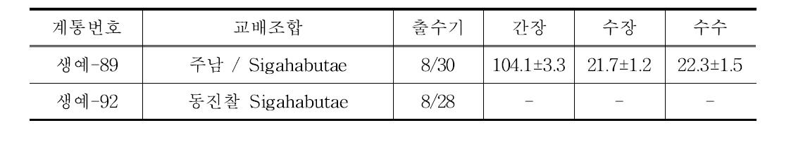 찰벼 계통의 기본농업형질