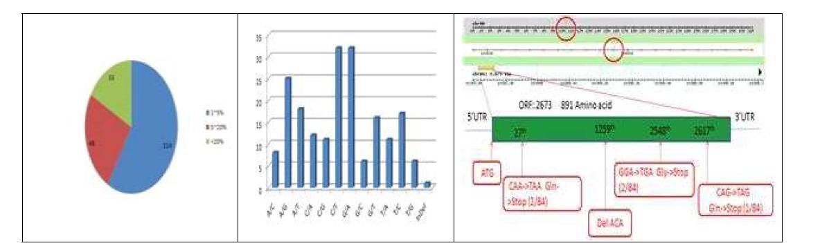 Pi-9 유전자의 haplotype 분석(195 type)