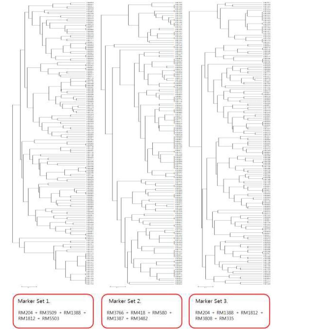 선발된 3개의 마커 set를 이용한 국내육성 벼 150품종의 판별