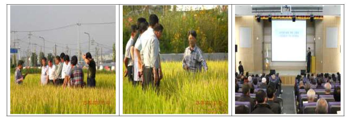 2013년 대농민, RPC, 농업기술센터 대상 육종포장 소개 및 진상벼 재배기술 교육