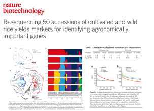 다양한 벼 생태형 40점과 야생종 10 점에 대해 15X의 depth로 resequencing 한 연구 사례