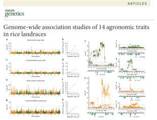 Bin Han group에서 발표한 벼 기반 GWAS 연구사례